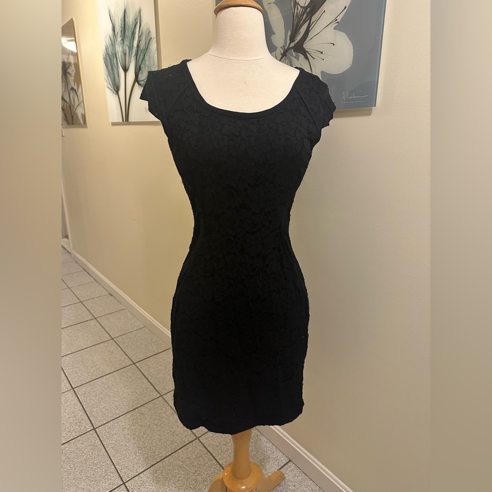 Express lace dress